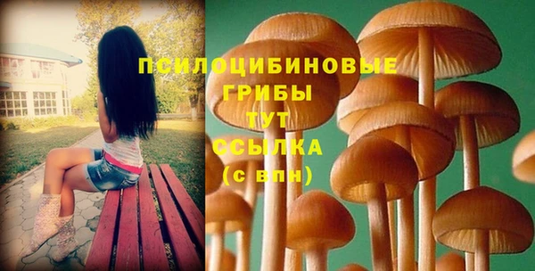 соль курить ск Протвино