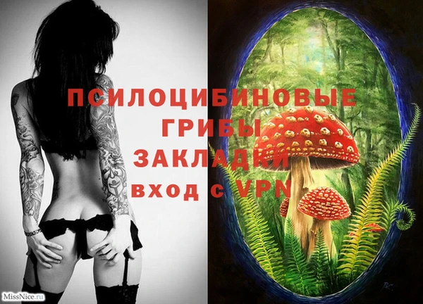 2c-b Пролетарск