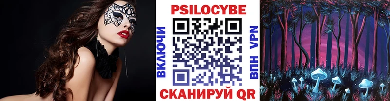 Галлюциногенные грибы Psilocybe  Елец 