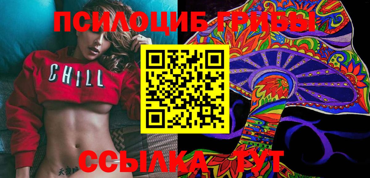 Галлюциногенные грибы Psilocybe Елец