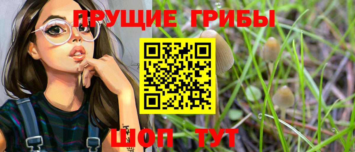 Галлюциногенные грибы Psilocybe  Вход с VPN  Елец 